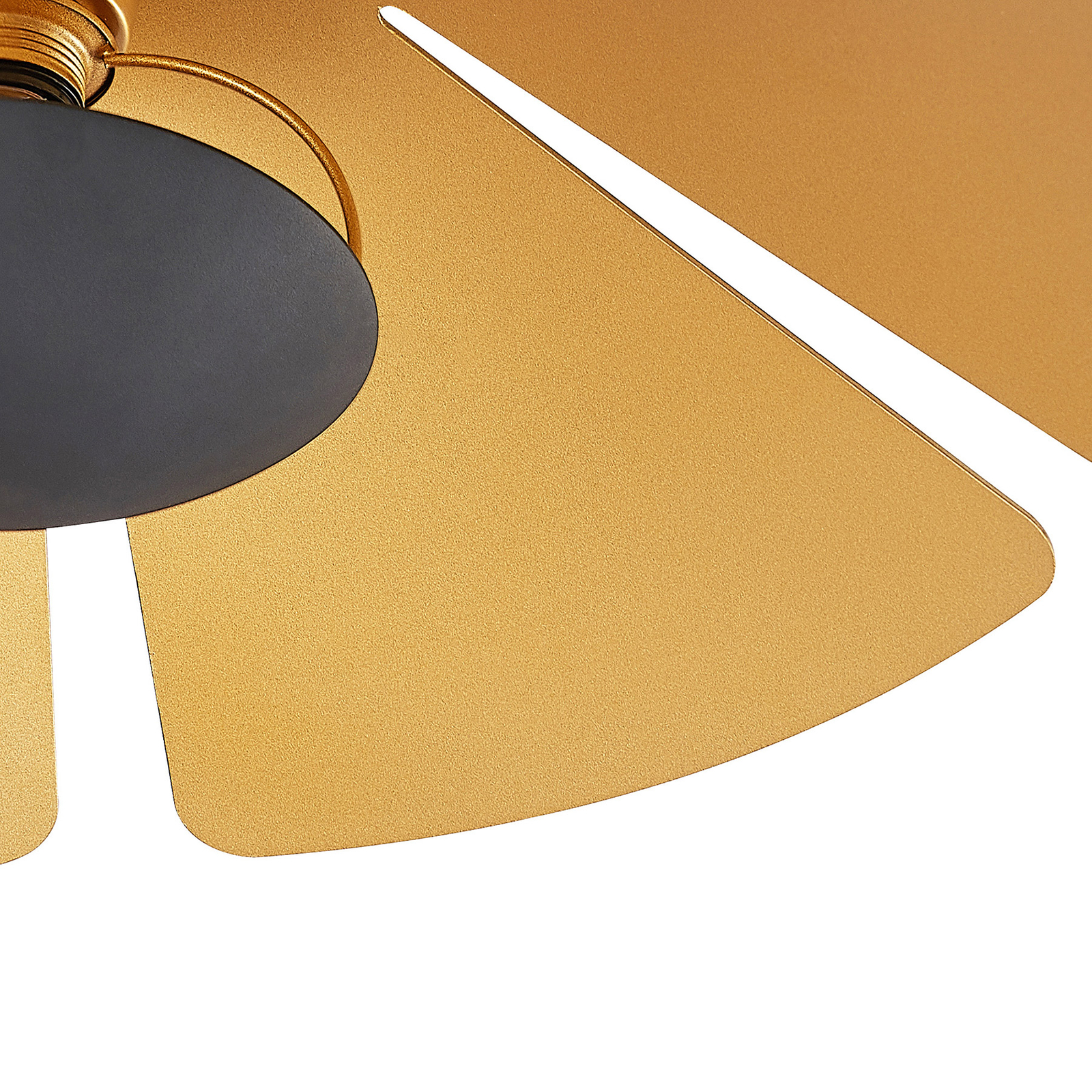 Lucande Jemmily-kattovalaisin, 1-lamppuinen Pyöreä - Image 6