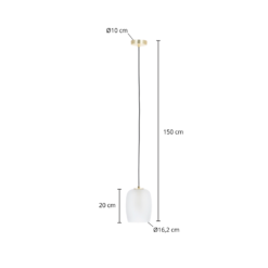 Lucande Taylan-riippuvalo, 1 Lamppu, Lasivarjostin